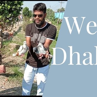 Dhaka pigeon Zone