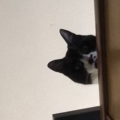 kkao01616304's profile picture. NO DM　ＤＭお断り