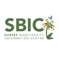 SBIC(@surreybic) 's Twitter Profile Photo