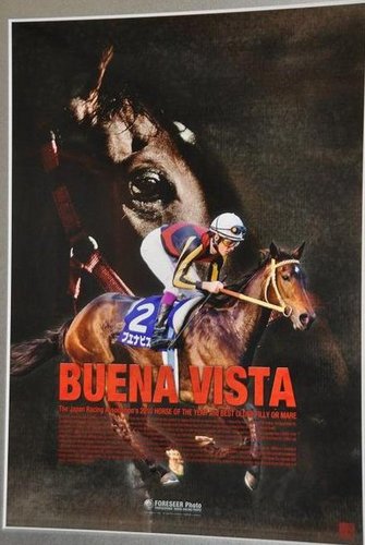 Ask me about racehorses .follow me pls! Im single...lol:)))