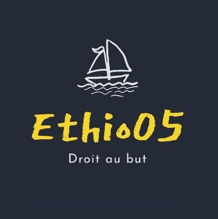 Manager et Skipper de l'équipe @torcesailing sur @virtualregatta 🐗
