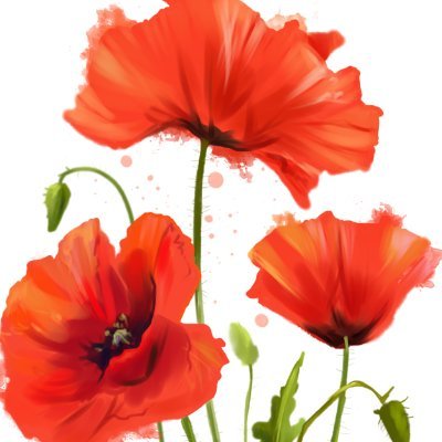 Scrappyssimo's profile picture. 