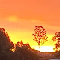 Olivia Pullen (@mrsoliviapullen) 's Twitter Profile Photo