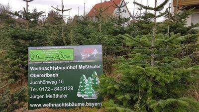 Bio Weihnachtsbäume Hofladen Meßthaler in Obererlbach.
Einkaufen am Bauernhof 
Kaufen sie Ihren Baum wo er wächst am Weihnachtsbaumhof Meßthaler Obererlbach