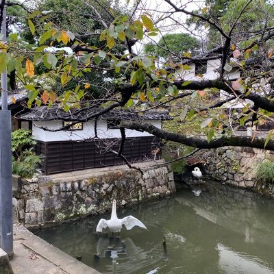 kottonganba's profile picture. こんにちは。コットンです。 高卒で父親の会社に就職するも上手く行かず２０歳の時に家出をし広島から埼玉へ。 そして2021年1月から仕事をしながら独学でプログラミングの勉強開始！ プログラミングの勉強をしている方など仲良くして頂けると嬉しいです！！よろしくお願いします🙆‍♂️