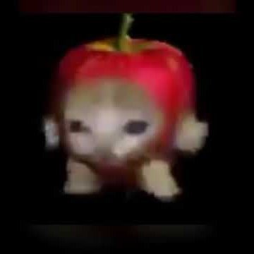 daniel64551082's profile picture. 