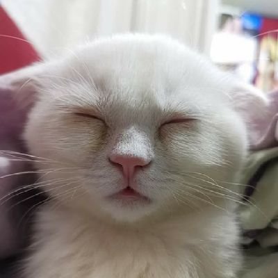 Neungさんのプロフィール画像