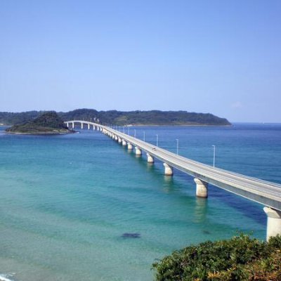 xtISQmZ6imOM9Zf's profile picture. 皇紀2682年・八紘一宇・憲法改正