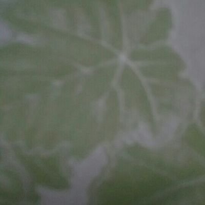 enl7ZxOSLN6gVf5's profile picture. 0618752361