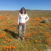 S.Hammerman, NBCT (@s_hammerman) 's Twitter Profile