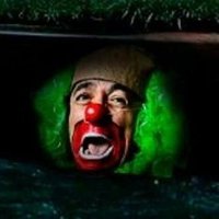 Brozo (@__brozo__) 's Twitter Profile