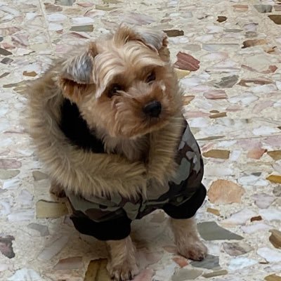 mariacs1198's profile picture. 