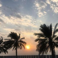 najeeb (@dnajeeb2323) Twitter profile photo