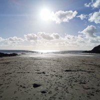 Aimee Miller (@aimee_miller1) 's Twitter Profile