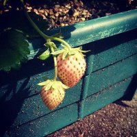 有起('ᴗ' o[PARIS10号]o (@yukisannoiroiro) 's Twitter Profile