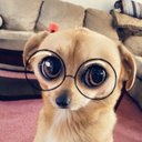 Suzanne Theis Nahas - @theis_nahas - Twitter