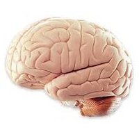 DementiaMisconceptions (@dementiareality) 's Twitter Profile