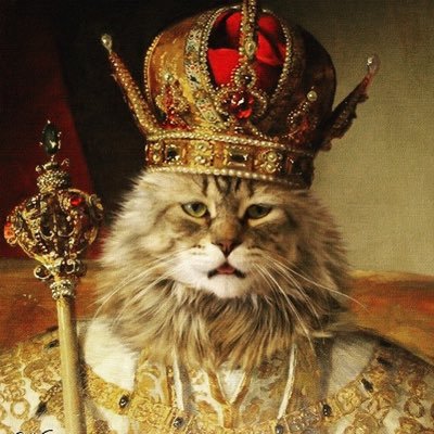 Main: @catkingwisecat #Numerology #Astrology #GG33