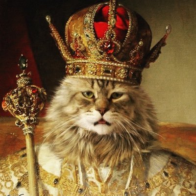 Follow: @catkingwisecat #Numerology #Astrology #GG33 https://t.co/FvCagTsKhb