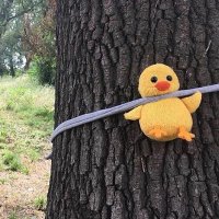 zehra (@sakindegilim0) 's Twitter Profile Photo