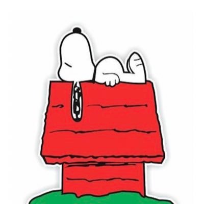 nightnightdoc's profile picture. 