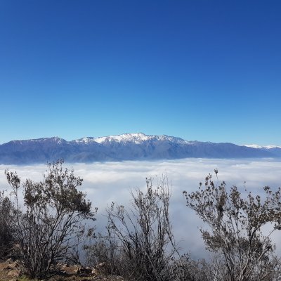 Letsfuckinggo6's profile picture. 