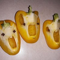 Ultra-Mega-MAGA Peppers (@deplorable_dork) 's Twitter Profile