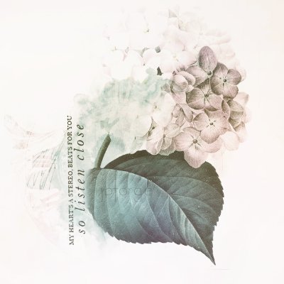 bakikalandeniz's profile picture. 