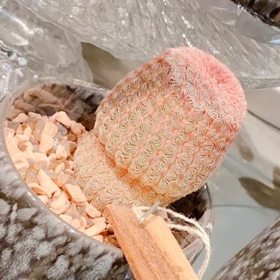 ℝ𝕚ℝ𝕚さんのプロフィール画像