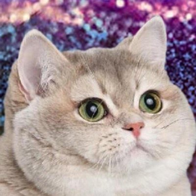 wpenninkhof's profile picture. 