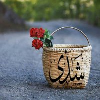 🌹شذى الأزهار🌹 (@shatha_alazhar) Twitter profile photo