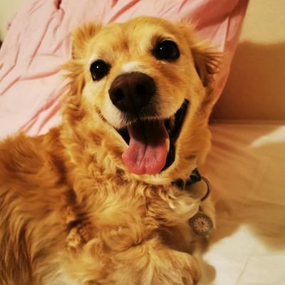 ANASTASIAMIXAIL's profile picture. Pharmaceutical technologist