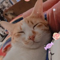 🔮เบอร์เงินสด✨ (@_ourarea) 's Twitter Profile
