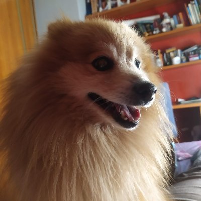 I'm Drino from Midgard and I'm burdened with glorious purpose. Hic sunt dracones
Hago cosas en https://t.co/t7b1wPiYuu
https://t.co/CB2ZZ1GXSp