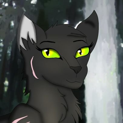 NightpawLovesU's profile picture. ThunderClan Medicine Cat|Sees StarClan Cats|Unofficial Mentor: Opalfoot|16|Bi|Non Binary|He-They-She|SFW Only!|Main Warriors Acc: @JayCanTolerate