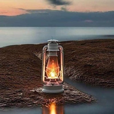 MShuaibm24's profile picture. 