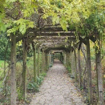 Passionate about Gardens 🌿former IGPOTY Garden 📷 Finalist 🌿Trustee @LDNgardenstrust & promoting lecture series 🌿https://t.co/jfMjOShVZQ