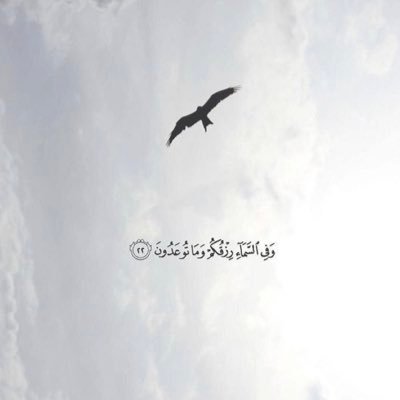 سبحان الله وبحمده♥️