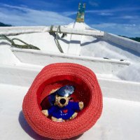 Alvira (@alvira69279353) Twitter profile photo