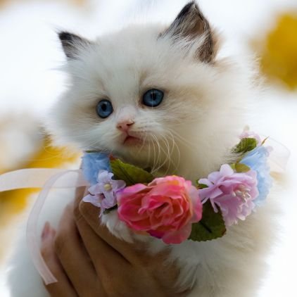 Jennife17019922's profile picture. 