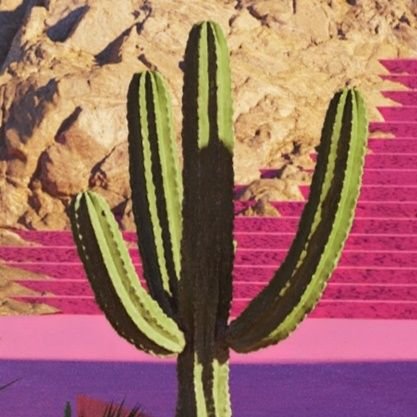 dadoobe 🌍 🌵 🇪🇺 🏊‍♂️ 🇺🇦 🇲🇲さんのプロフィール画像