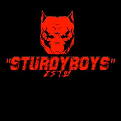 Official Twitter of Sturdyboys Records