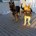 Jean Hasse - @Moondust3 - Twitter