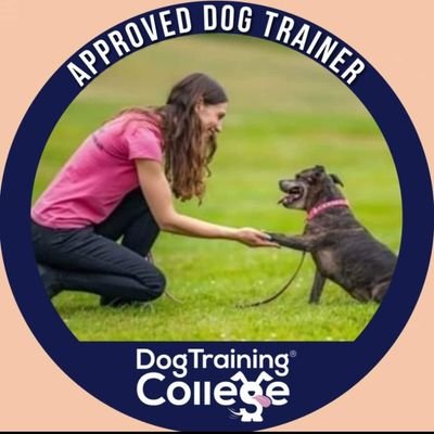 I am a Dog trainer that uses kind, fun, simple and effective training techniques to promote good behaviour and enhance well-being