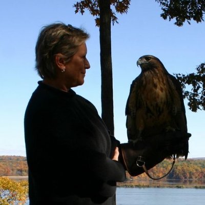 Ravensbeardorg's profile picture. We are a 501(c)3 wildlife rehabilitation center specializing in birds of prey and caring for ALL birds. 20 years strong! ❤️🦉🦅🦆🦔🦜🐦 Venmo: @ravensbeard