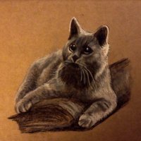 Adso Fraser (@ofadso) 's Twitter Profile