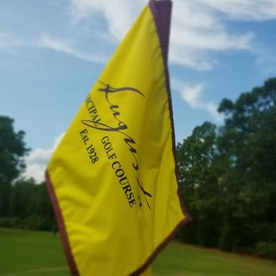 golfthepatch's profile picture. 