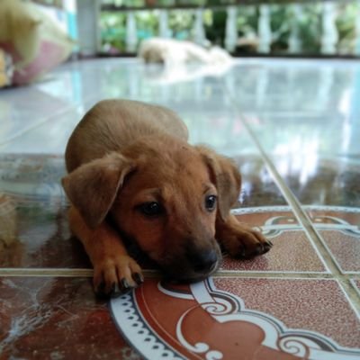 mhukz13's profile picture. ℕ𝕆𝔹𝕆𝔻𝕐 ℂ𝔸ℕ 𝔻ℝ𝔸𝔾 𝕄𝔼 𝔻𝕆𝕎ℕ 🤔