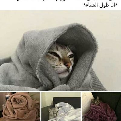 لو لم أجازف واقترب، كنت سأظل أعتقد بأن شيئًا جميلًا قد فاتني💙💔