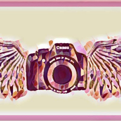 We are here to help you get started, and also help those special angels navigate through it all. DM's open. #WebcamModels #Chaturbate #Onlyfans